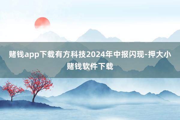 赌钱app下载有方科技2024年中报闪现-押大小赌钱软件下载