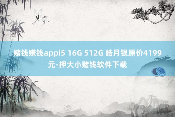 赌钱赚钱appi5 16G 512G 皓月银原价4199元-押大小赌钱软件下载