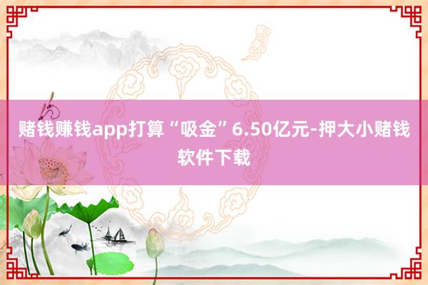 赌钱赚钱app打算“吸金”6.50亿元-押大小赌钱软件下载